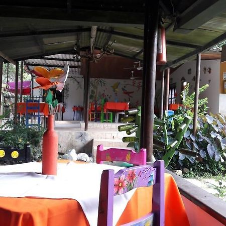 Sierra Sounds House Bed and Breakfast Minca Exterior foto
